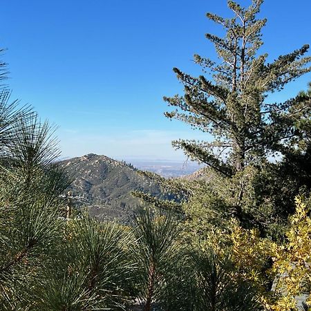 Ev Level 2, Pets Welcome At Sunset Ridge Lake Arrowhead Eksteriør billede