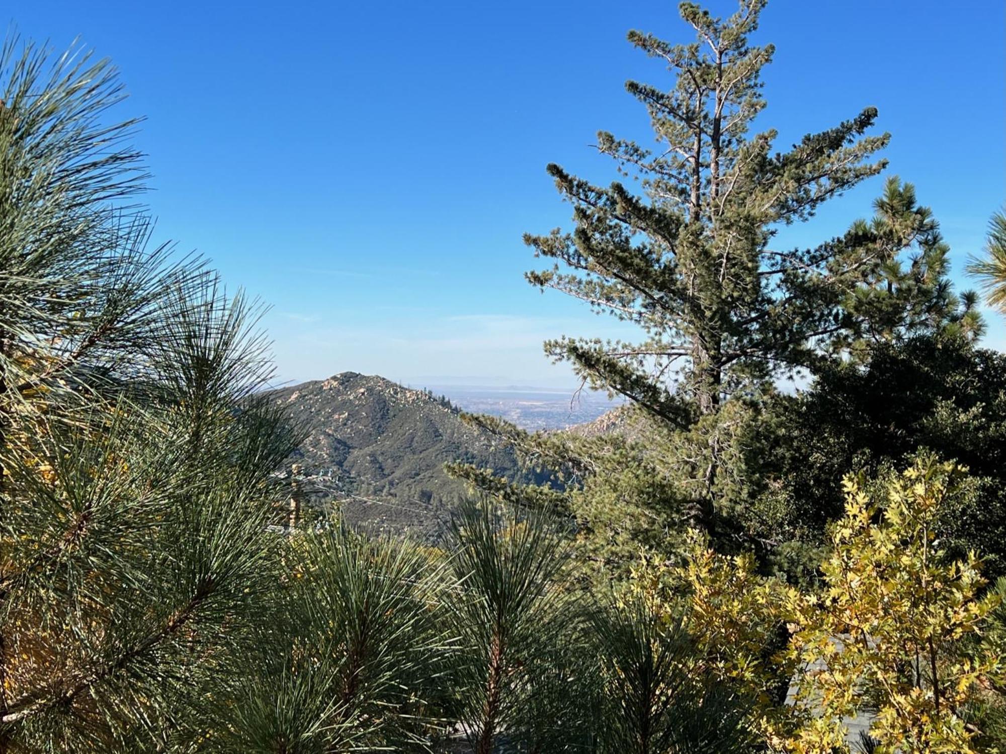 Ev Level 2, Pets Welcome At Sunset Ridge Lake Arrowhead Eksteriør billede